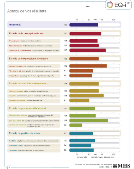 Exemple de rapport EQ I 2.0